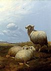 Pasture Canvas Paintings - Sheep At Pasture